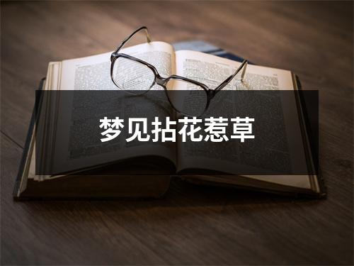 <h3>梦见拈花惹草