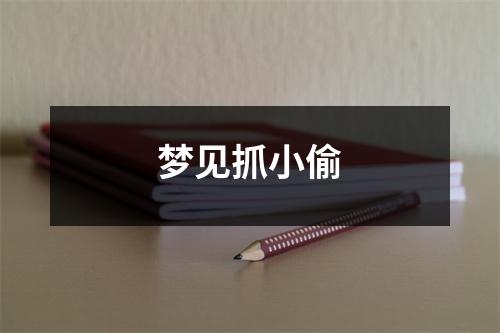 <h3>梦见抓小偷