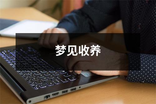 <h3>梦见收养