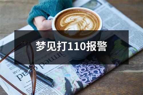 梦见打110报警