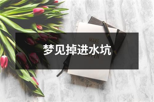 <h3>梦见掉进水坑