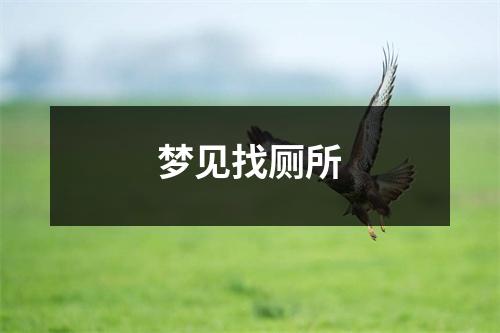 <h3>梦见找厕所