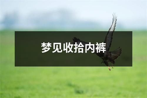 <h3>梦见收拾内裤