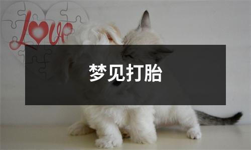 <h3>梦见打胎