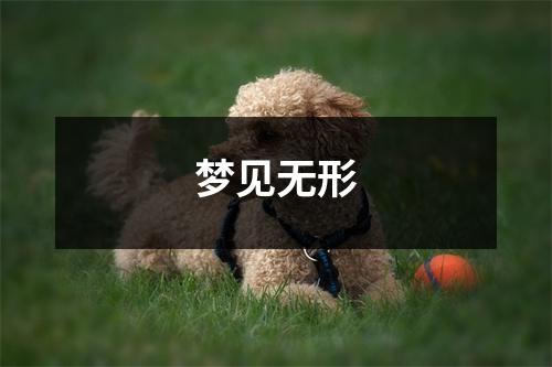 <h3>梦见无形