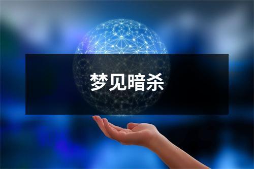 <h3>梦见暗杀