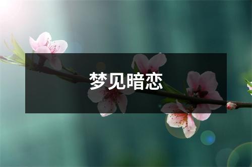 <h3>梦见暗恋