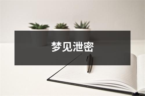<h3>梦见泄密