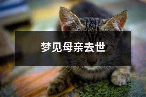 <h3>梦见母亲去世