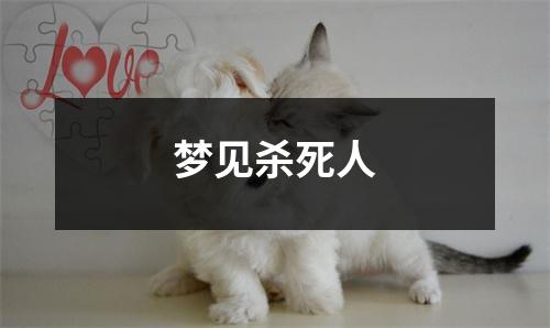 梦见杀死人
