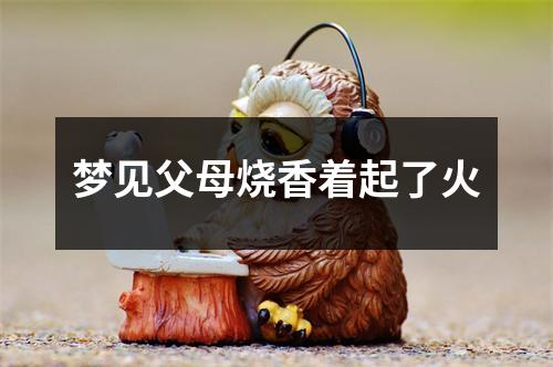 梦见父母烧香着起了火