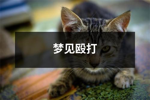 <h3>梦见殴打