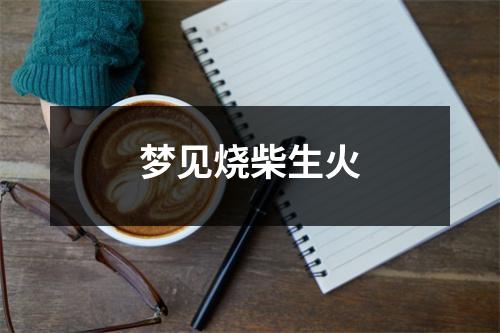 <h3>梦见烧柴生火