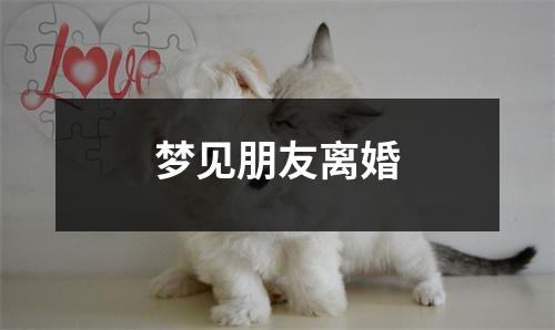 <h3>梦见朋友离婚
