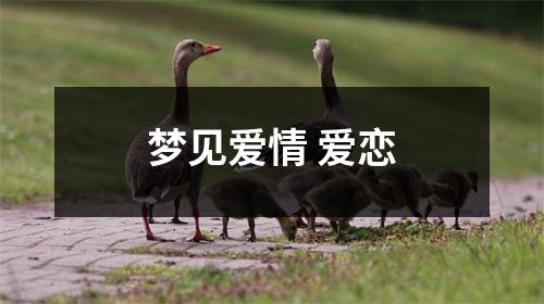 <h3>梦见爱情爱恋