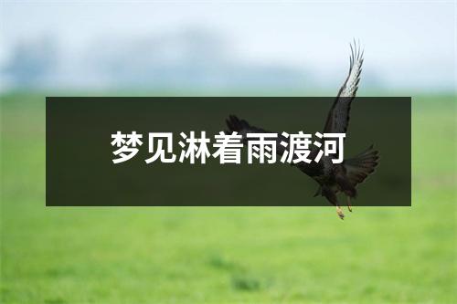<h3>梦见淋着雨渡河