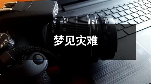 <h3>梦见灾难