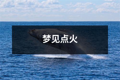 <h3>梦见点火