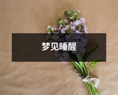 <h3>梦见睡醒