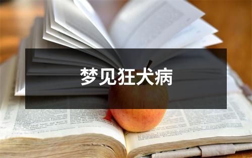 <h3>梦见狂犬病