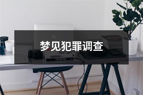 梦见犯罪调查