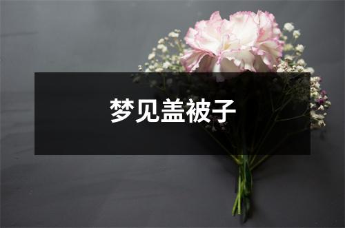 <h3>梦见盖被子