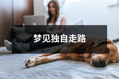 <h3>梦见独自走路