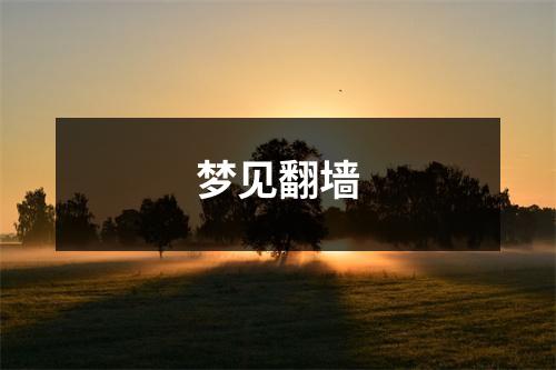 <h3>梦见翻墙