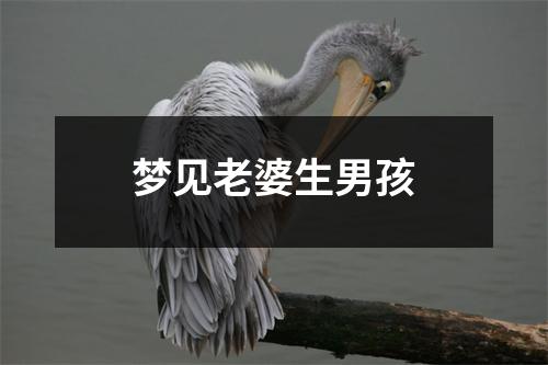 梦见老婆生男孩