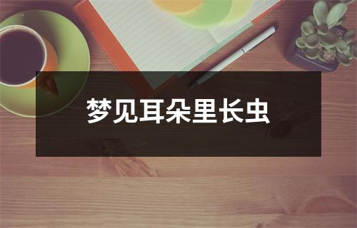 梦见耳朵里长虫