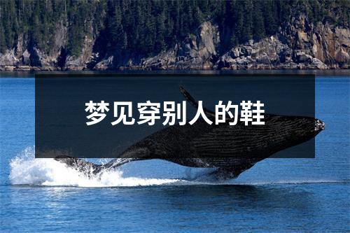 梦见穿别人的鞋