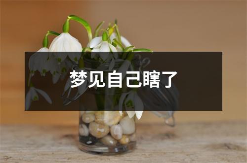 <h3>梦见自己瞎了