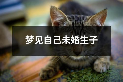<h3>梦见自己未婚生子
