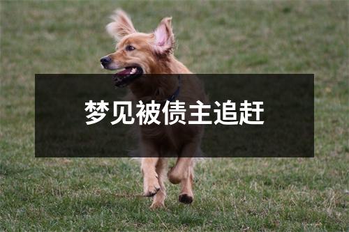 梦见被债主追赶