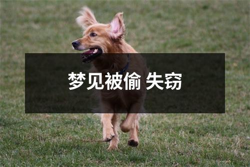 <h3>梦见被偷失窃