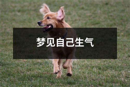 <h3>梦见自己生气