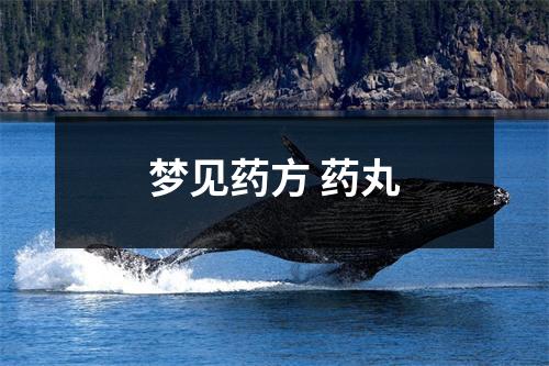 梦见药方药丸