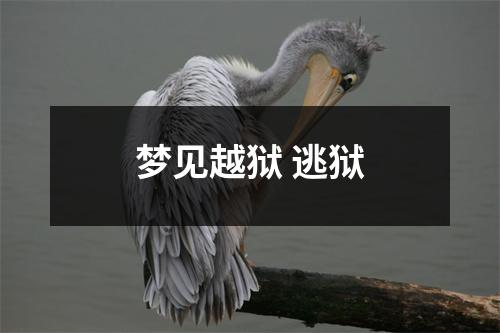 <h3>梦见越狱逃狱