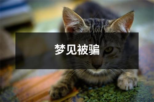 <h3>梦见被骗