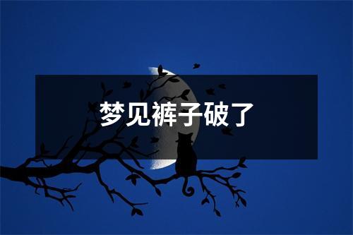 <h3>梦见裤子破了