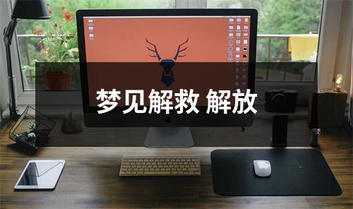 <h3>梦见解救解放