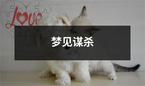<h3>梦见谋杀