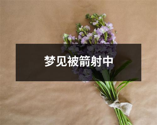 梦见被箭射中