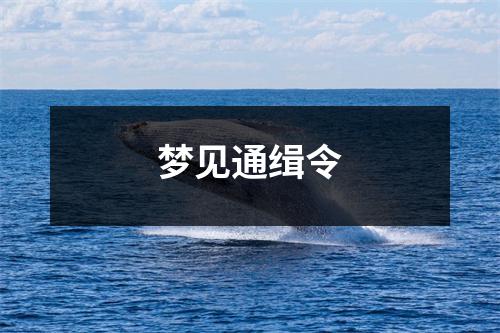 <h3>梦见通缉令