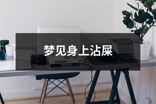 <h3>梦见身上沾屎