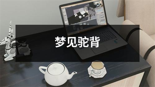 <h3>梦见驼背