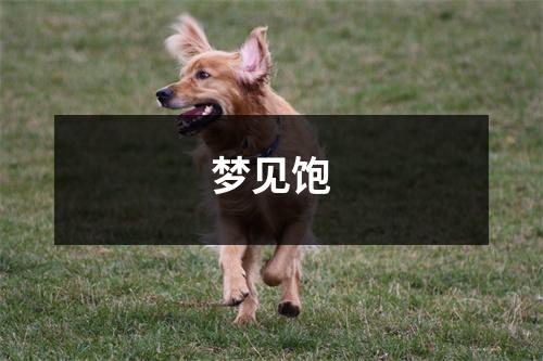 梦见饱