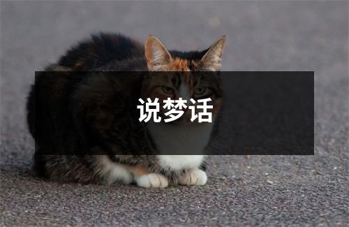 说梦话