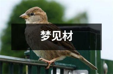 <h3>梦见材