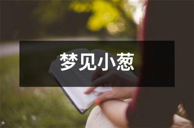 <h3>梦见小葱